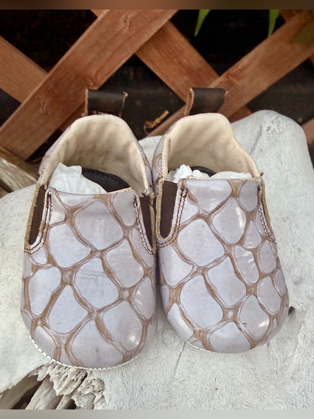 FREEBIRD Baby Leather Reptile Print Shoes 3-6M NEW